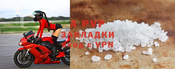 PSILOCYBIN Майский