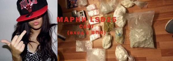 PSILOCYBIN Майский