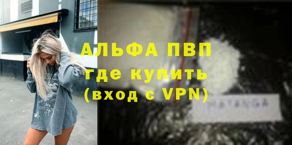 спиды Магас