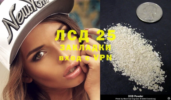 PSILOCYBIN Майский