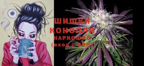 PSILOCYBIN Майский