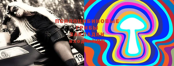 PSILOCYBIN Майский