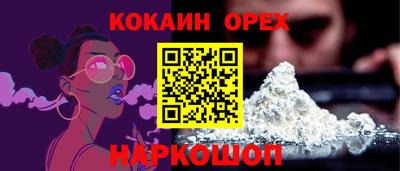 стафф Гай