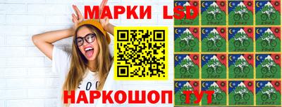стафф Гай