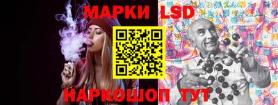стафф Гай