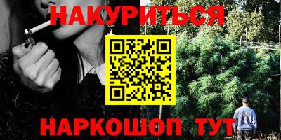 стафф Гай