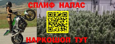 стаф Абакан