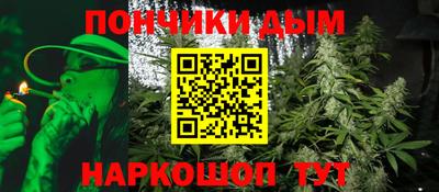 стафф Гай