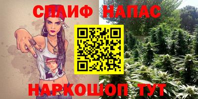 стафф Гай