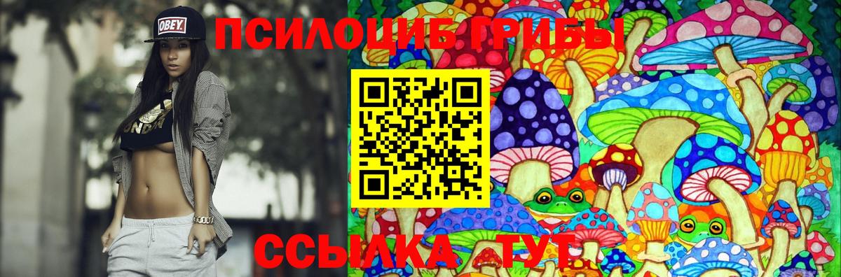 Коркино  дарнет шоп  Псилоцибиновые грибы Psilocybine cubensis  Вход с VPN  Псилоцибиновые грибы прущие грибы 